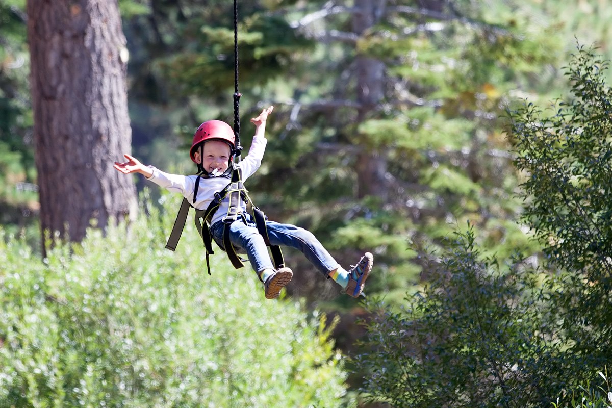 ziplinecanopytours Escape to Blue Ridge Blog North Cabin