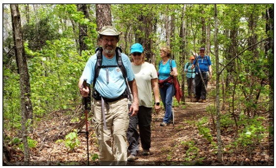 tour of trees blairsville ga